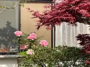 梅香寺(三重県)(2025年04月19日(土) 18時06分05秒投稿)