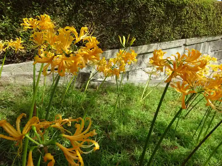 横浜 西方寺の自然