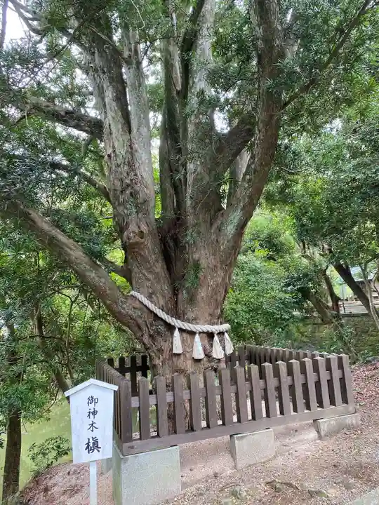 安房神社(千葉県)