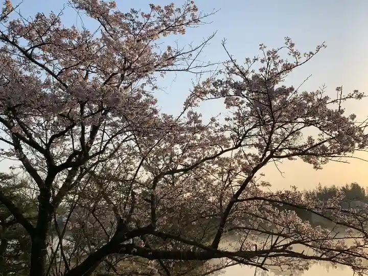 牟禮山観音禅寺の自然