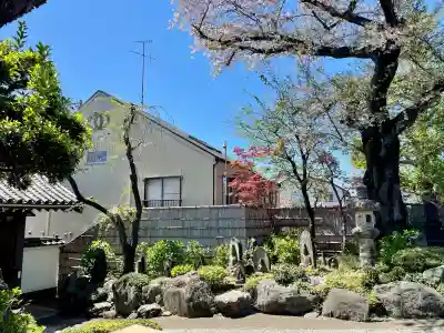 実相院の{uncategorized: "未分類", other: "その他", undefined: "問題あり", building: "その他建物", grave: "お墓", sacred_gate: "鳥居", guardian: "狛犬", statue: "像", buddha: "仏像", history: "歴史", nature: "自然", garden: "庭園", animal: "動物", pagoda: "塔", temizu: "手水舎", mountain_gate: "山門・神門", sanctuary: "本殿・本堂", subordinate: "末社・摂社", art: "芸術", scenery: "景色", jizo: "地蔵", ema: "絵馬", goshuin: "御朱印", omikuji: "おみくじ", items: "授与品その他", amulet: "お守り", goshuincho: "御朱印帳", eats: "食事", festival: "お祭り", votive_dance: "神楽", shichigosan: "七五三参", wedding: "結婚式", experience: "体験その他", initially: "初詣", around: "周辺", anti_infection: "感染症対策"}