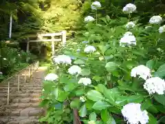 太平山神社の鳥居