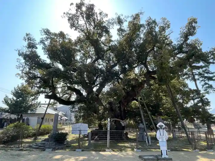 善通寺(香川県)