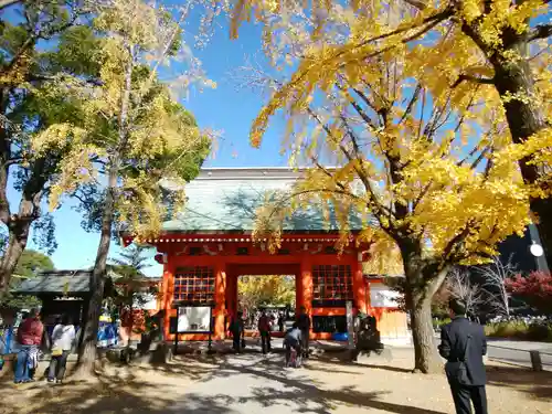 葛飾八幡宮(千葉県)