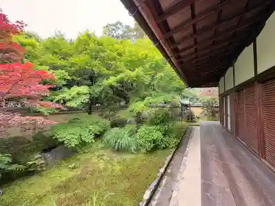 興臨院の{uncategorized: "未分類", other: "その他", undefined: "問題あり", building: "その他建物", grave: "お墓", sacred_gate: "鳥居", guardian: "狛犬", statue: "像", buddha: "仏像", history: "歴史", nature: "自然", garden: "庭園", animal: "動物", pagoda: "塔", temizu: "手水舎", mountain_gate: "山門・神門", sanctuary: "本殿・本堂", subordinate: "末社・摂社", art: "芸術", scenery: "景色", jizo: "地蔵", ema: "絵馬", goshuin: "御朱印", omikuji: "おみくじ", items: "授与品その他", amulet: "お守り", goshuincho: "御朱印帳", eats: "食事", festival: "お祭り", votive_dance: "神楽", shichigosan: "七五三参", wedding: "結婚式", experience: "体験その他", initially: "初詣", around: "周辺", anti_infection: "感染症対策"}