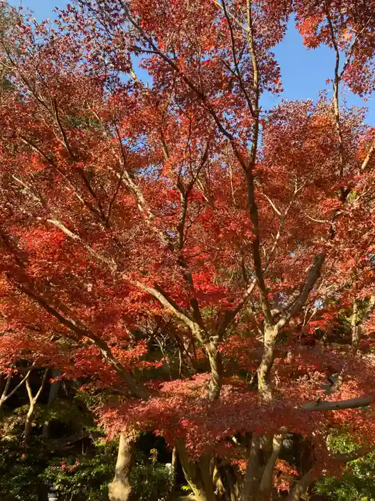 覚園寺(神奈川県)
