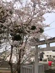 舞子六神社の自然