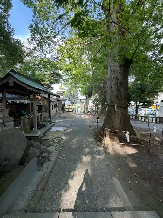 今宮神社の{uncategorized: "未分類", other: "その他", undefined: "問題あり", building: "その他建物", grave: "お墓", sacred_gate: "鳥居", guardian: "狛犬", statue: "像", buddha: "仏像", history: "歴史", nature: "自然", garden: "庭園", animal: "動物", pagoda: "塔", temizu: "手水舎", mountain_gate: "山門・神門", sanctuary: "本殿・本堂", subordinate: "末社・摂社", art: "芸術", scenery: "景色", jizo: "地蔵", ema: "絵馬", goshuin: "御朱印", omikuji: "おみくじ", items: "授与品その他", amulet: "お守り", goshuincho: "御朱印帳", eats: "食事", festival: "お祭り", votive_dance: "神楽", shichigosan: "七五三参", wedding: "結婚式", experience: "体験その他", initially: "初詣", around: "周辺", anti_infection: "感染症対策"}