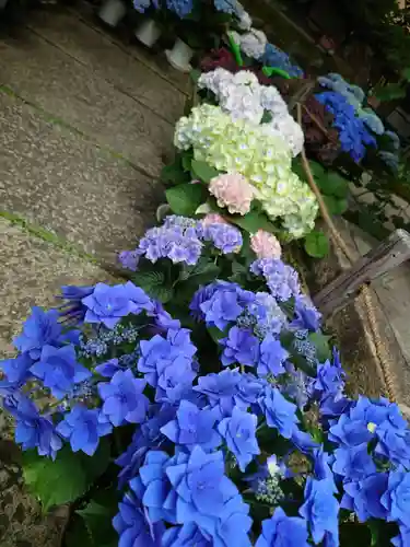 勝林寺(京都府)