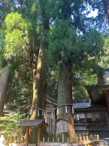 高千穂神社(宮崎県)