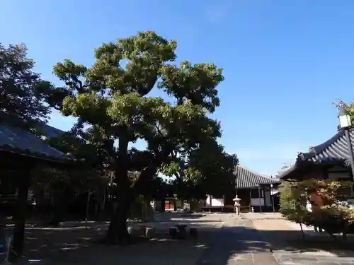 道明寺(大阪府)