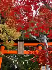 新倉富士浅間神社の鳥居