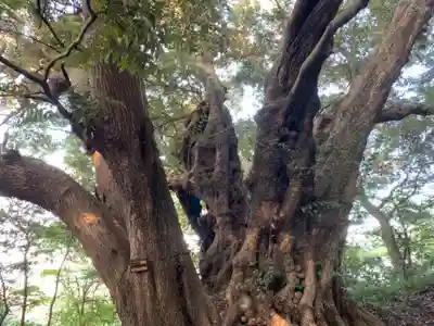 菅生神社のその他建物