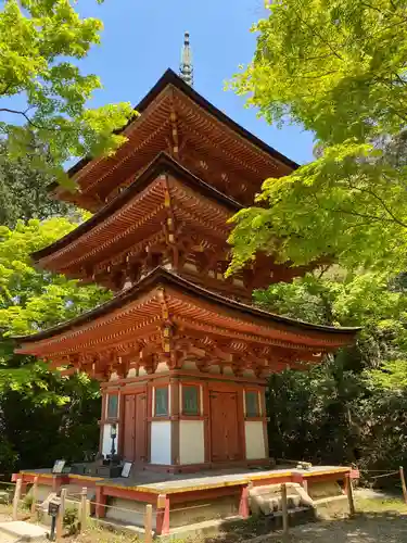 浄瑠璃寺の塔