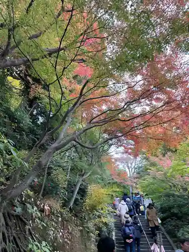 長谷寺(神奈川県)
