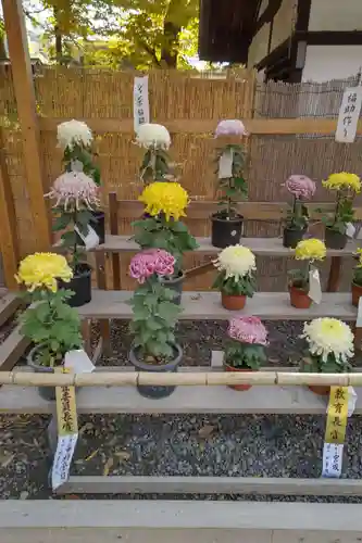 諏訪大社下社秋宮(長野県)