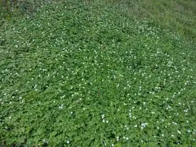 松井孫右衛門社(三重県)