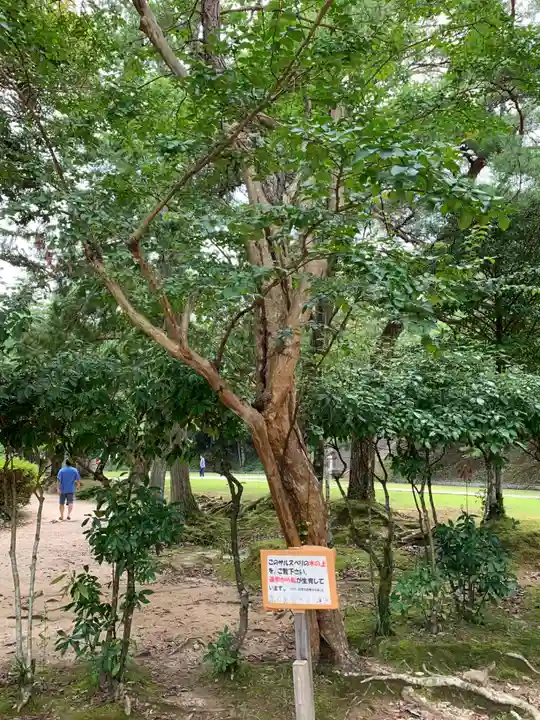 瑠璃光寺の自然