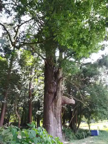 粟鹿神社(兵庫県)