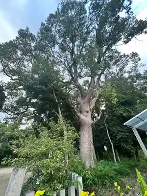 杵築神社(奈良県)