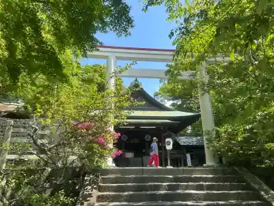 鎌倉宮の{uncategorized: "未分類", other: "その他", undefined: "問題あり", building: "その他建物", grave: "お墓", sacred_gate: "鳥居", guardian: "狛犬", statue: "像", buddha: "仏像", history: "歴史", nature: "自然", garden: "庭園", animal: "動物", pagoda: "塔", temizu: "手水舎", mountain_gate: "山門・神門", sanctuary: "本殿・本堂", subordinate: "末社・摂社", art: "芸術", scenery: "景色", jizo: "地蔵", ema: "絵馬", goshuin: "御朱印", omikuji: "おみくじ", items: "授与品その他", amulet: "お守り", goshuincho: "御朱印帳", eats: "食事", festival: "お祭り", votive_dance: "神楽", shichigosan: "七五三参", wedding: "結婚式", experience: "体験その他", initially: "初詣", around: "周辺", anti_infection: "感染症対策"}
