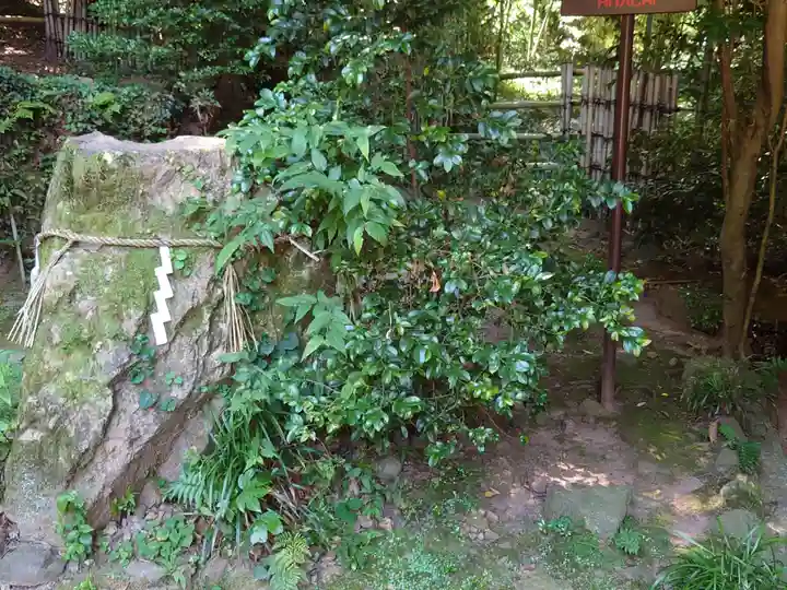 宇治上神社(京都府)