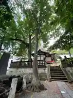用賀神社の自然