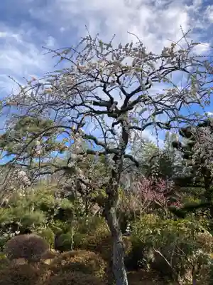 法輪寺(神奈川県)