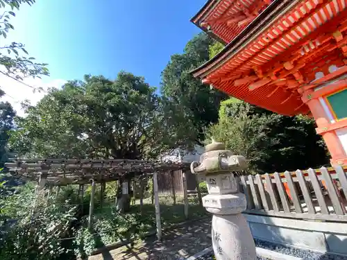 竹生島神社（都久夫須麻神社）(滋賀県)