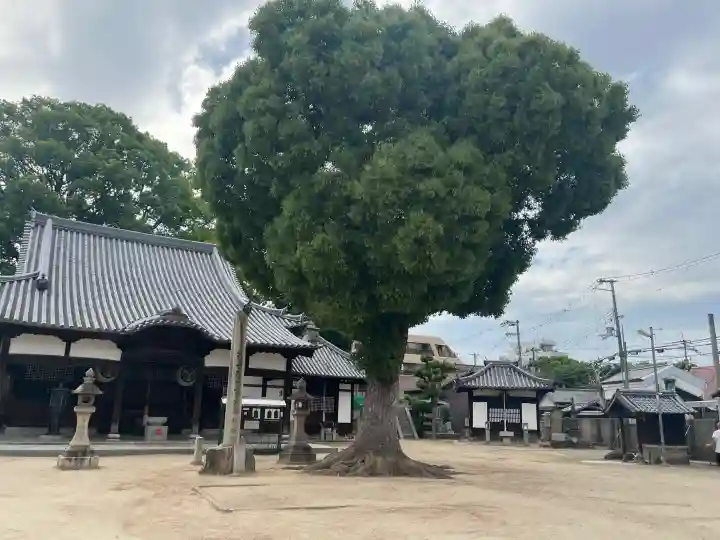 常光寺の{uncategorized: "未分類", other: "その他", undefined: "問題あり", building: "その他建物", grave: "お墓", sacred_gate: "鳥居", guardian: "狛犬", statue: "像", buddha: "仏像", history: "歴史", nature: "自然", garden: "庭園", animal: "動物", pagoda: "塔", temizu: "手水舎", mountain_gate: "山門・神門", sanctuary: "本殿・本堂", subordinate: "末社・摂社", art: "芸術", scenery: "景色", jizo: "地蔵", ema: "絵馬", goshuin: "御朱印", omikuji: "おみくじ", items: "授与品その他", amulet: "お守り", goshuincho: "御朱印帳", eats: "食事", festival: "お祭り", votive_dance: "神楽", shichigosan: "七五三参", wedding: "結婚式", experience: "体験その他", initially: "初詣", around: "周辺", anti_infection: "感染症対策"}