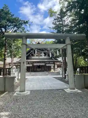 新琴似神社の鳥居