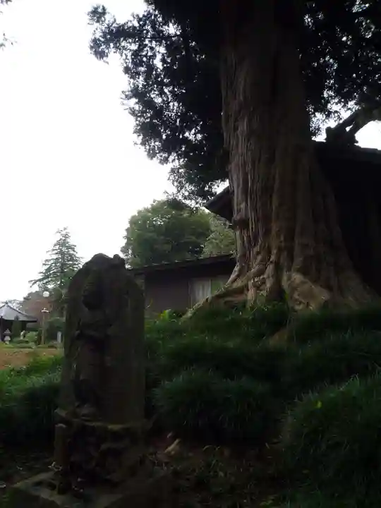 神田山延命院(茨城県)