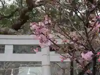 御霊神社の自然