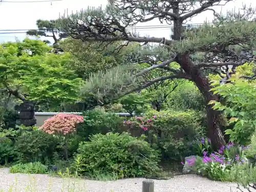 教恩寺(神奈川県)