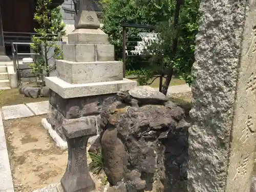 隅田川神社の狛犬