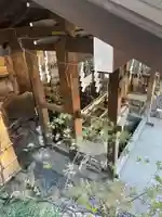 東京大神宮の手水舎