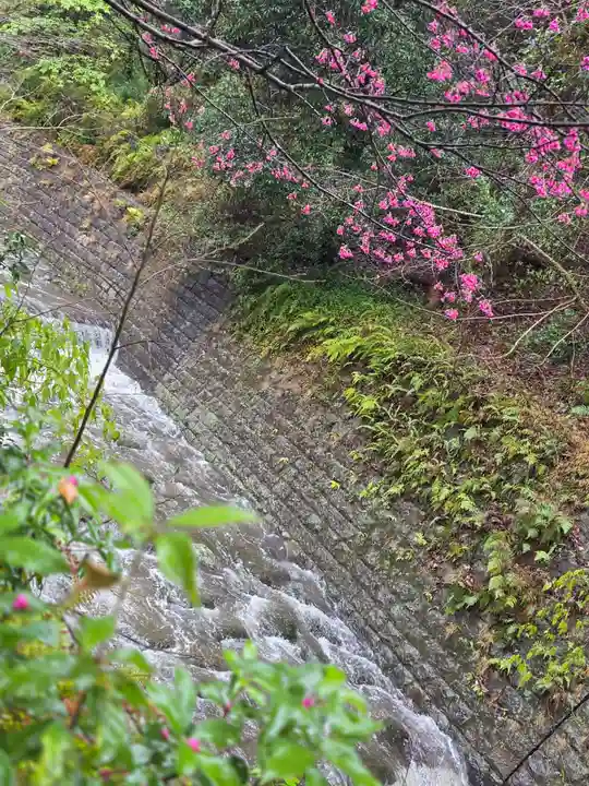 猫神社(鹿児島県)
