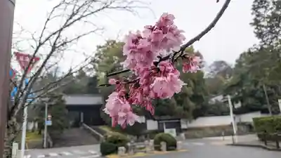 知恩院(京都府)