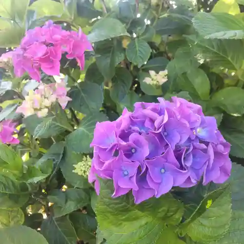 七重浜海津見神社(北海道)