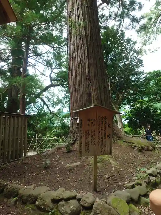 須佐神社(島根県)