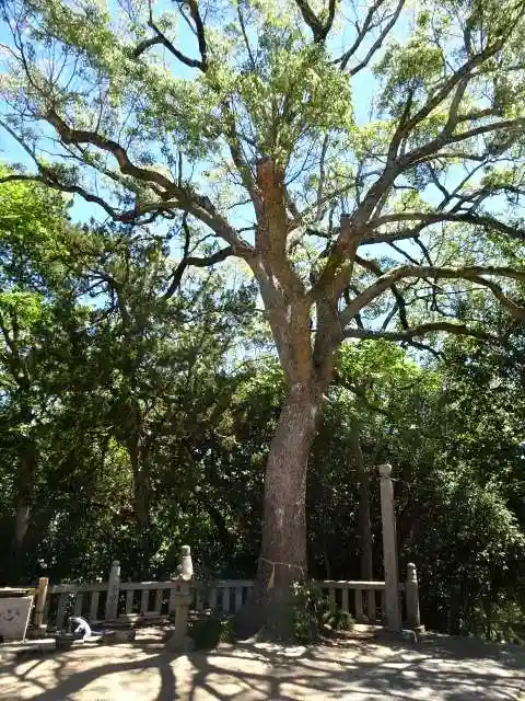 八幡宮(岡山県)