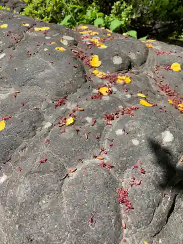 渋川八幡宮のその他建物