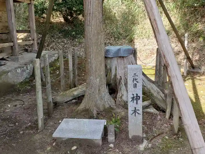 山王神社の自然