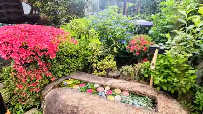 一乗寺の手水舎