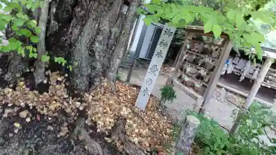 梨木神社(京都府)