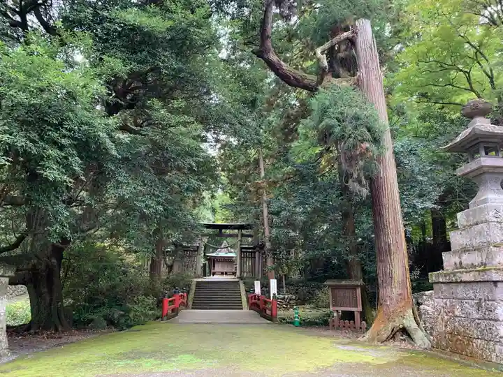 武蔵二宮 金鑚神社のその他建物
