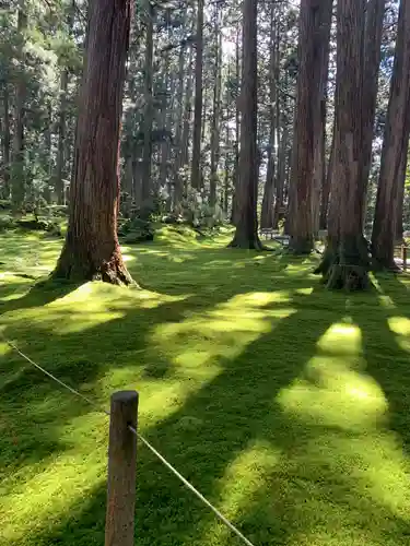 平泉寺白山神社の自然