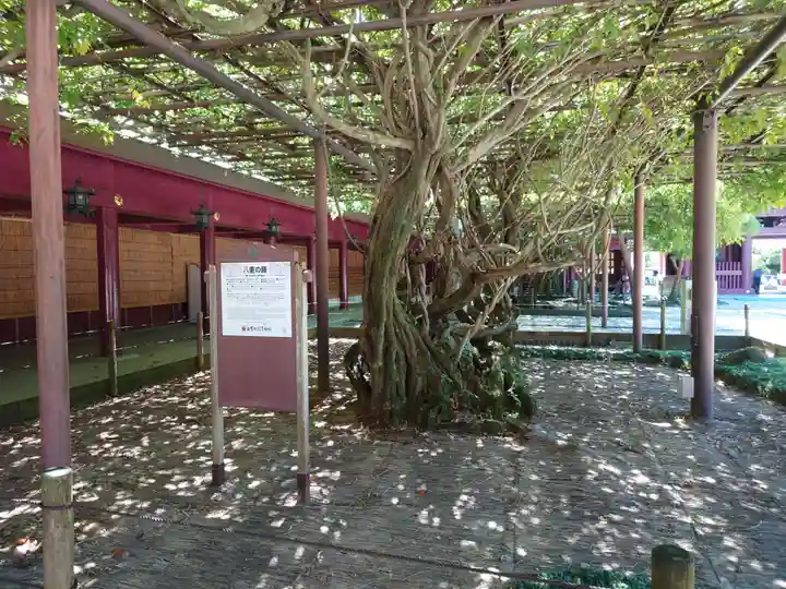 笠間稲荷神社の自然