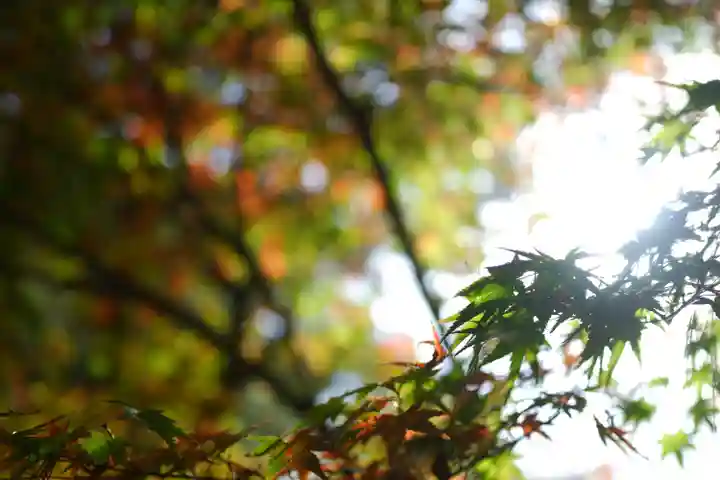 仁和寺(京都府)