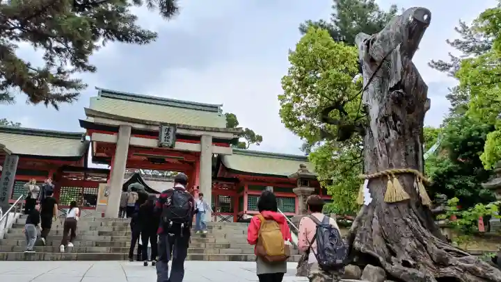 住吉大社(大阪府)